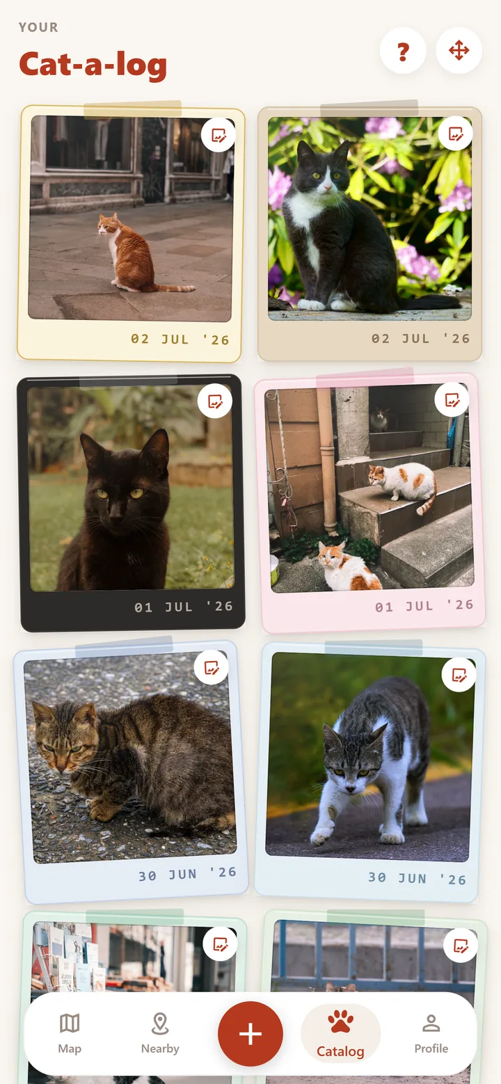 The Cat-a-log: a grid of photographed cats printed as polaroids in different collectible frames, each stamped with the date it was spotted.